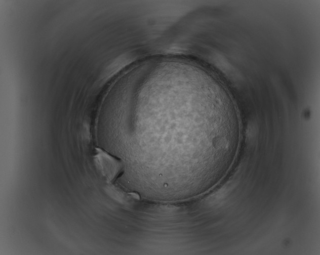 X0000093521209200710191325