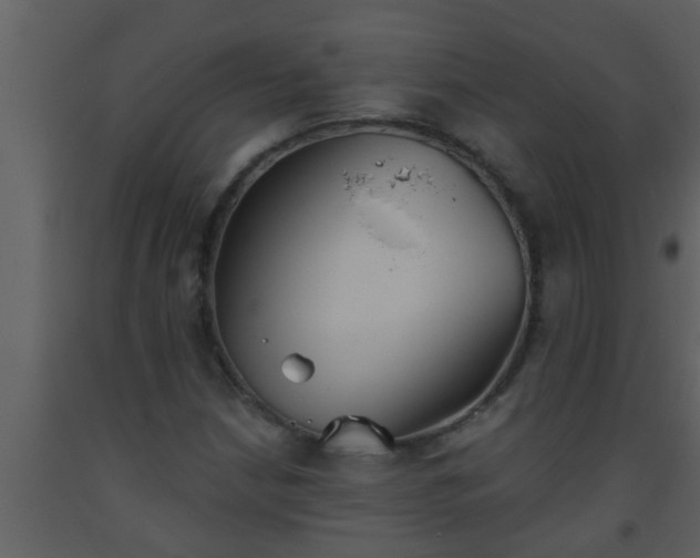 X0000093521210200710191325