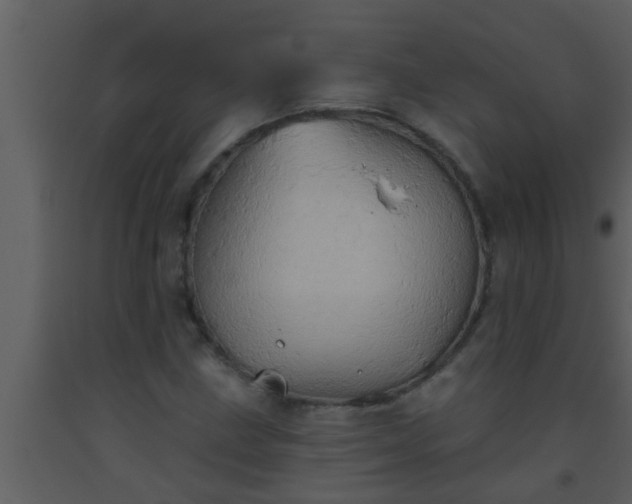 X0000093521211200710191325