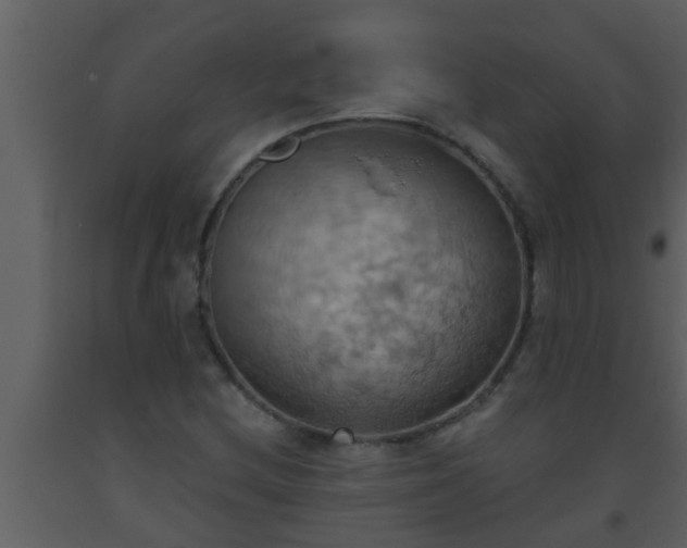 X0000093521212200710191325
