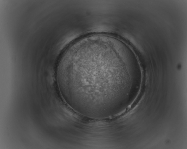 X0000093521213200710191325