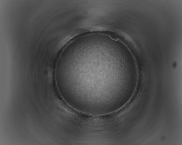 X0000093521217200710191325