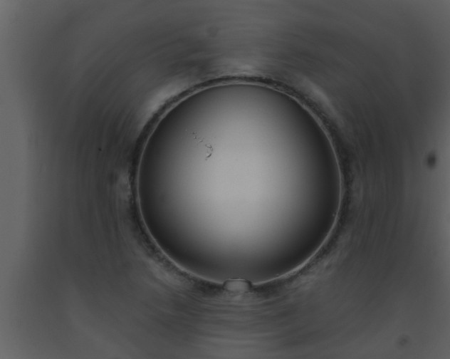 X0000093521218200710191325
