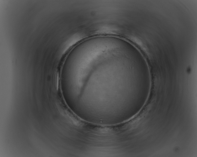 X0000093521219200710191325