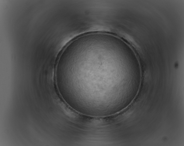 X0000093521220200710191325