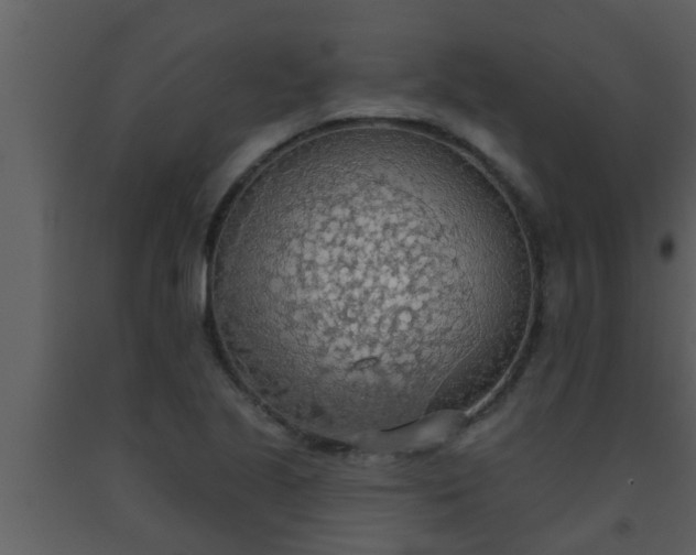X0000093521221200710191325