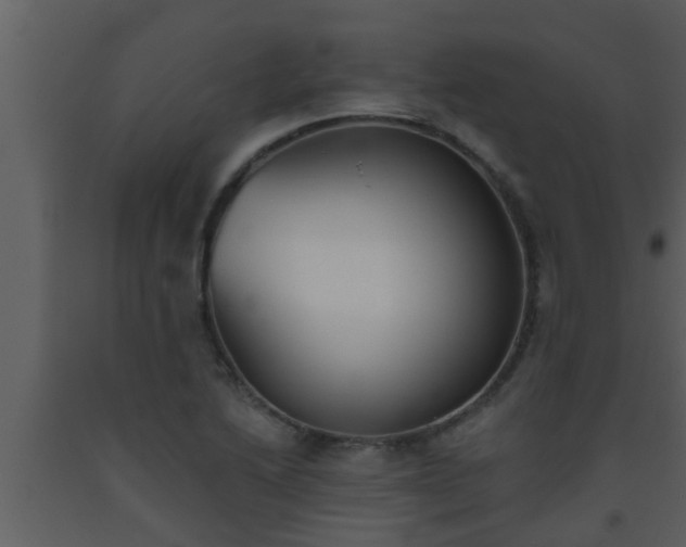 X0000093521222200710191325