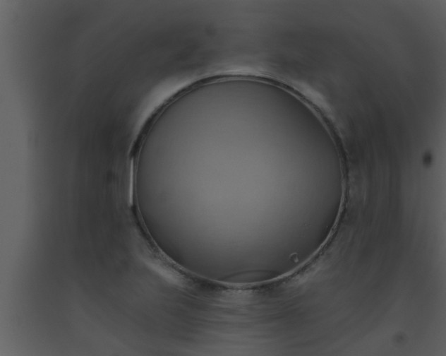 X0000093521223200710191325