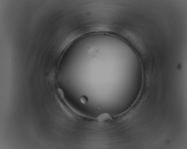 X0000093521225200710191325