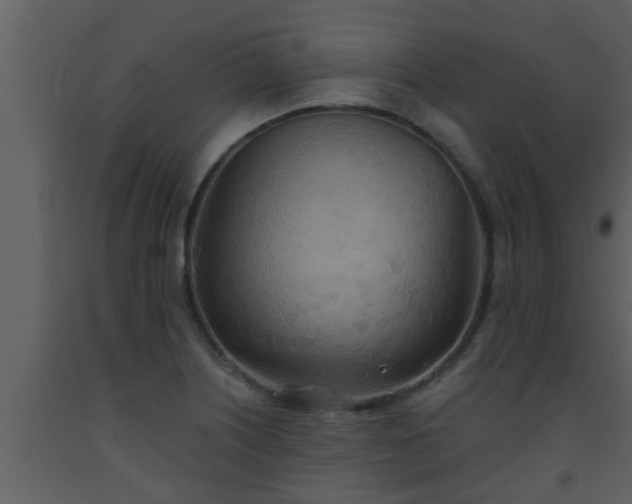 X0000093521226200710191325