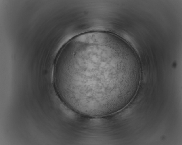 X0000093521227200710191325