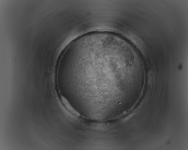 X0000093521229200710191325