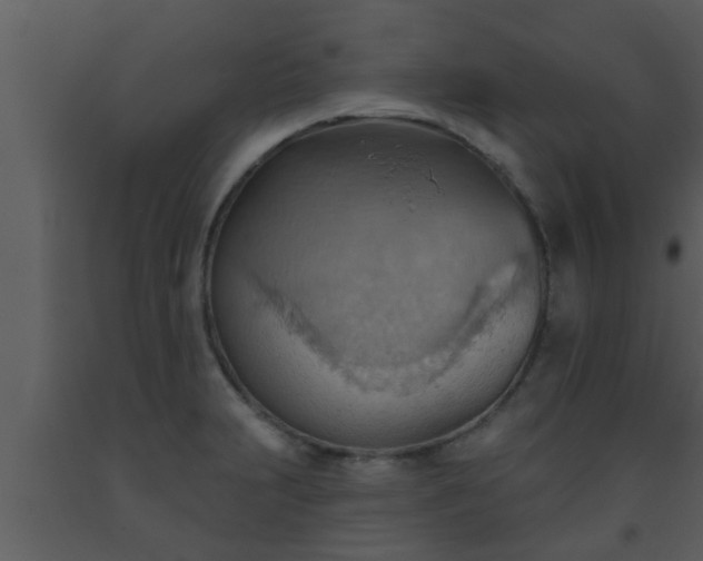 X0000093521231200710191325