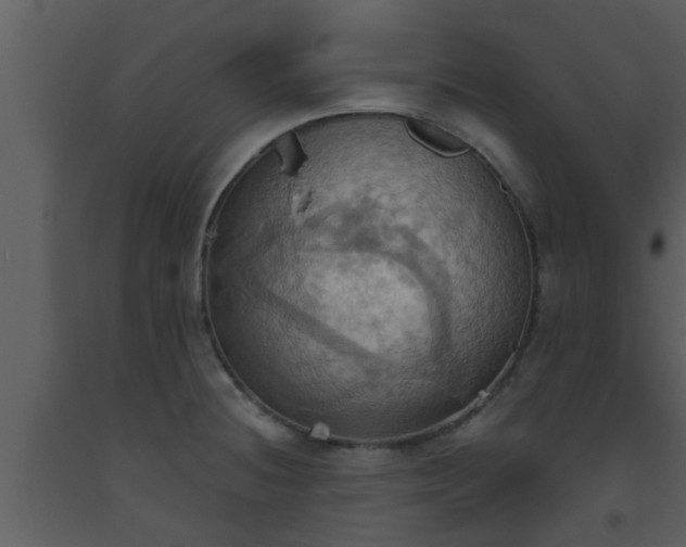 X0000093521236200710191325