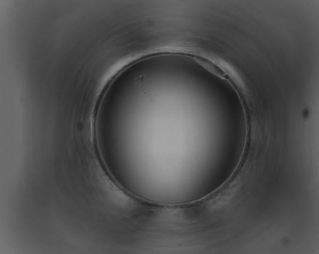 X0000093521238200710191325