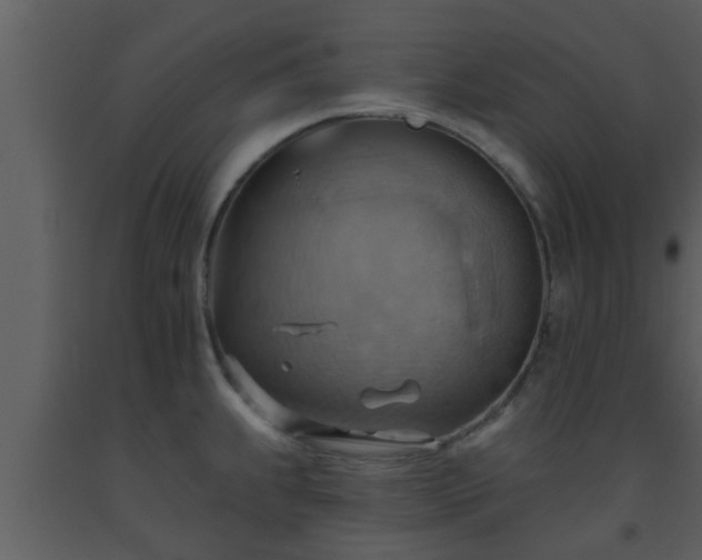X0000093521239200710191325