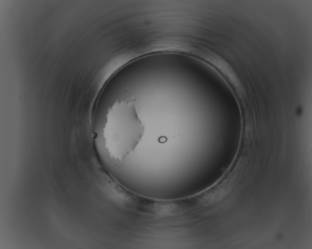 X0000093521242200710191325