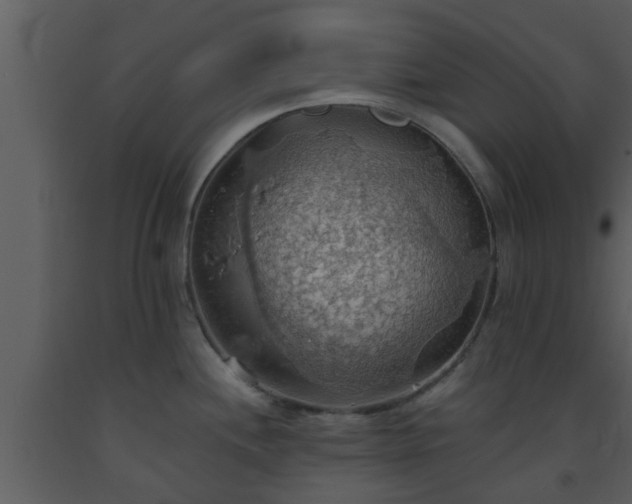 X0000093521244200710191325