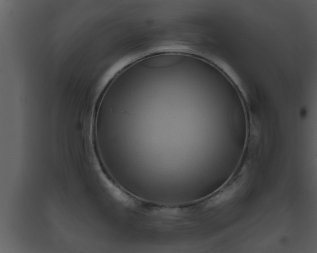 X0000093521245200710191325