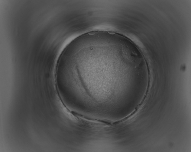 X0000093521248200710191325