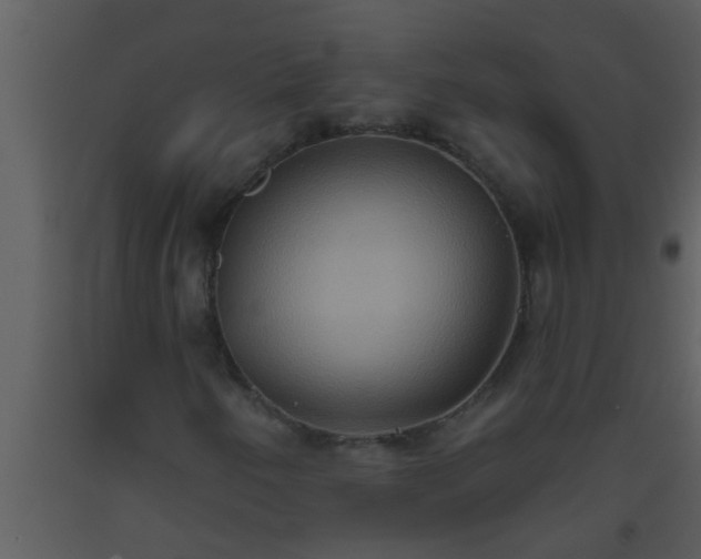 X0000093521250200710191325