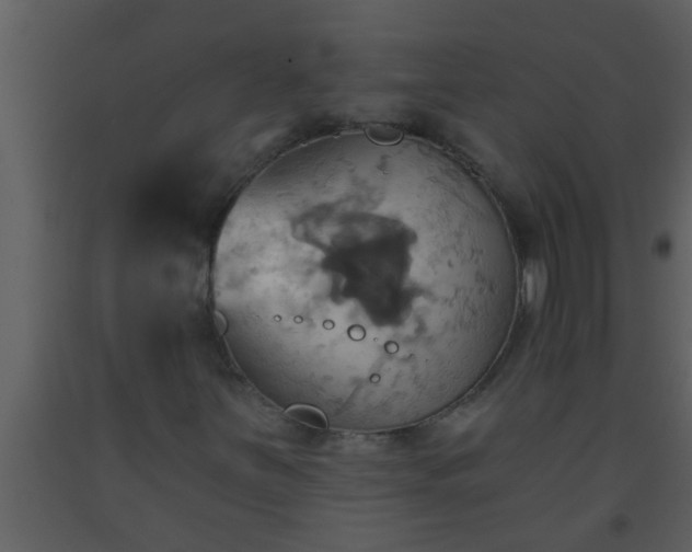 X0000093521251200710191325