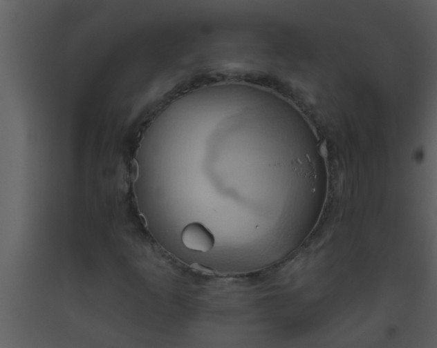 X0000093521253200710191325
