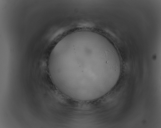X0000093521254200710191325