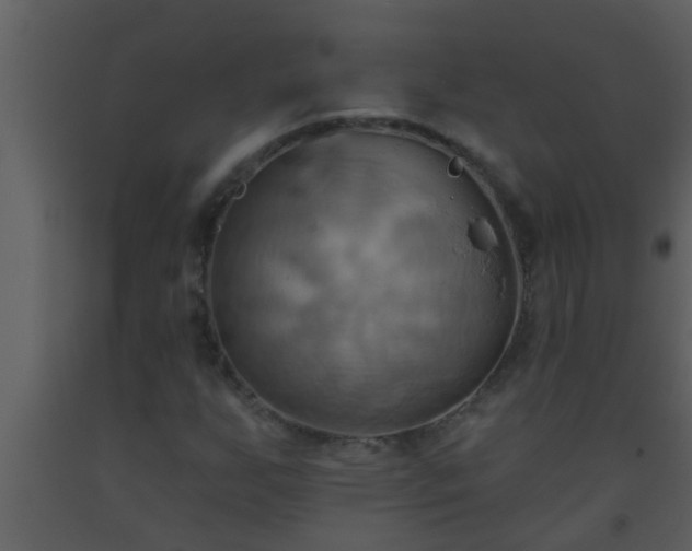 X0000093521255200710191325