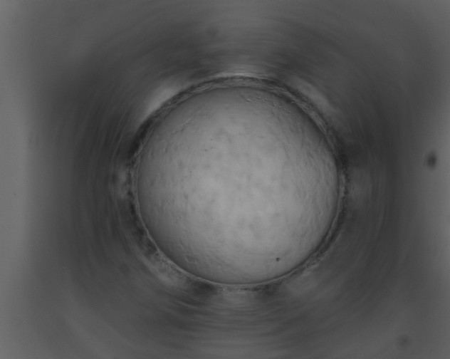X0000093521258200710191325