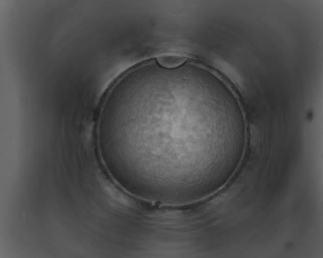 X0000093521260200710191325
