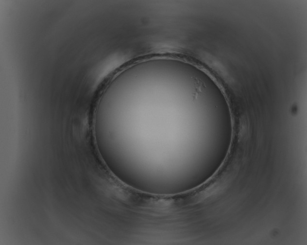 X0000093521261200710191325