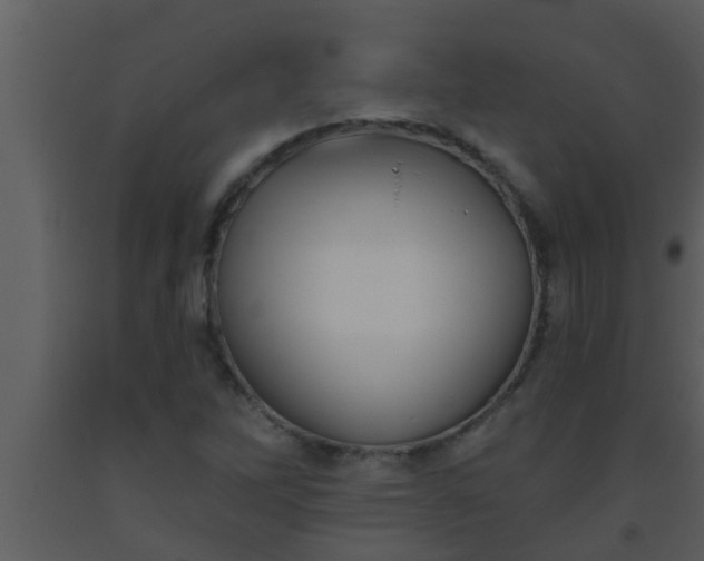 X0000093521262200710191324