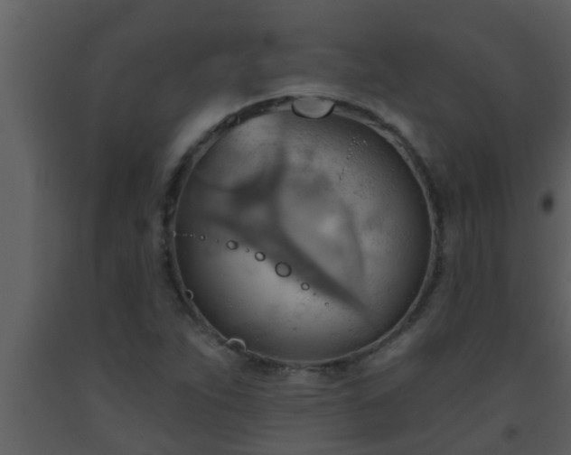 X0000093521263200710191324