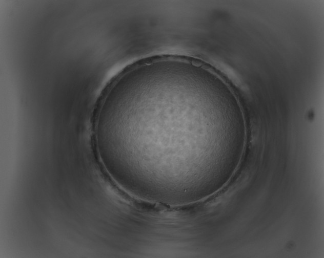 X0000093521264200710191324