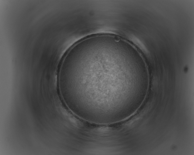 X0000093521268200710191324
