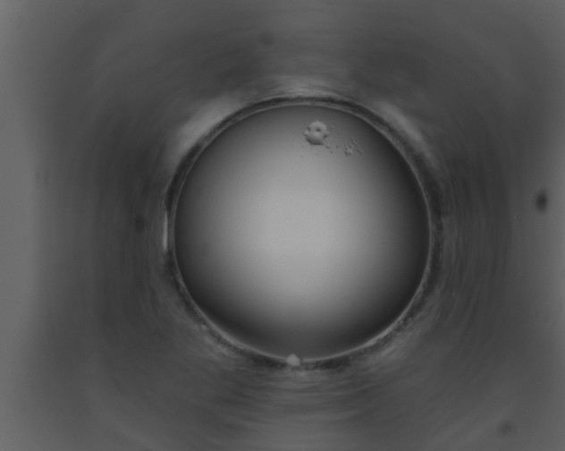 X0000093521269200710191324