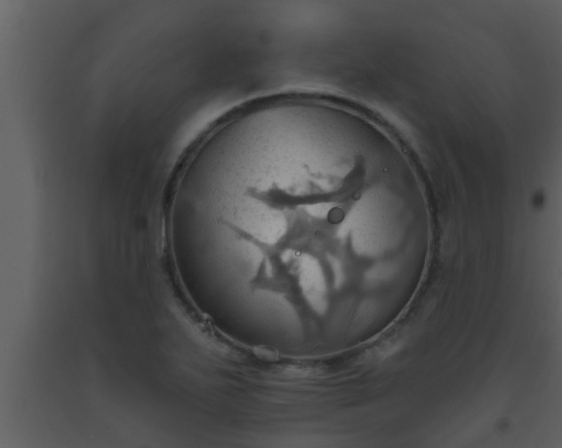 X0000093521271200710191324