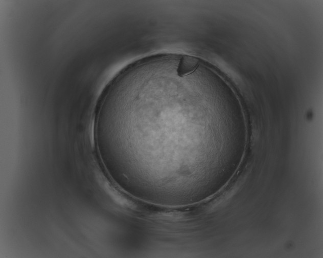 X0000093521272200710191324