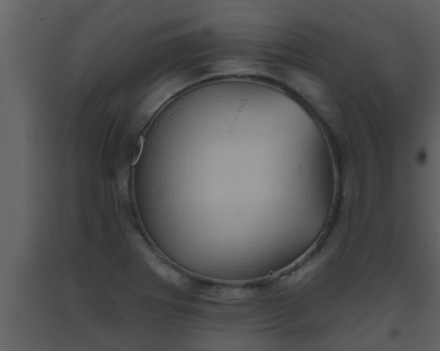 X0000093521273200710191324