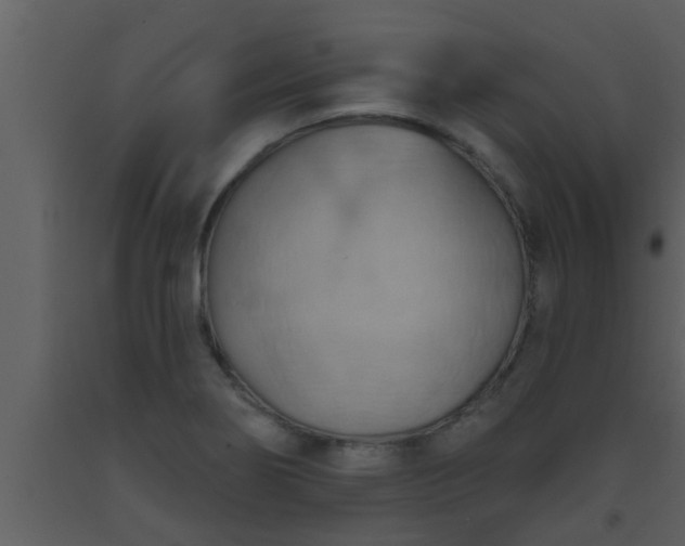 X0000093521274200710191324