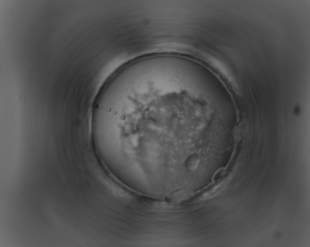 X0000093521275200710191324