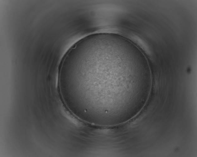 X0000093521276200710191324