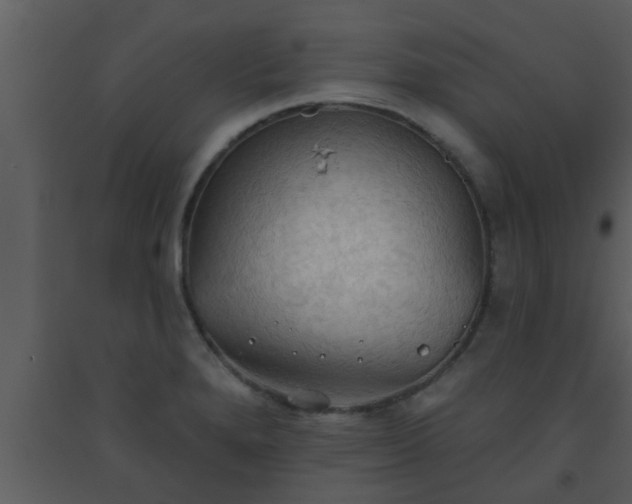 X0000093521280200710191324