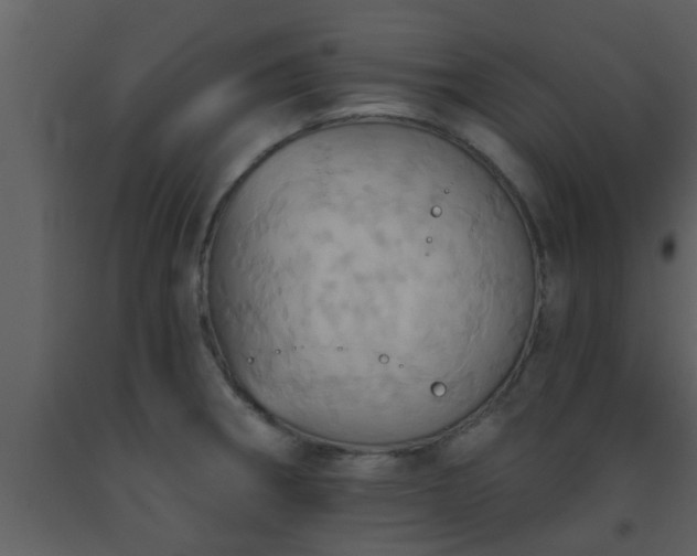 X0000093521282200710191324