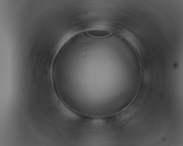 X0000093521283200710191324