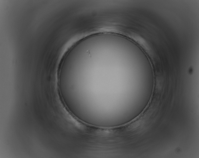X0000093521286200710191324
