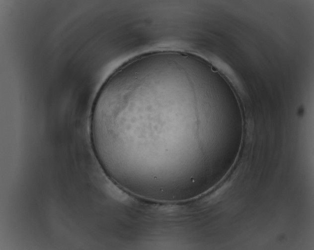X0000093521288200710191324
