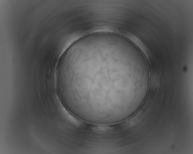X0000093521290200710191324