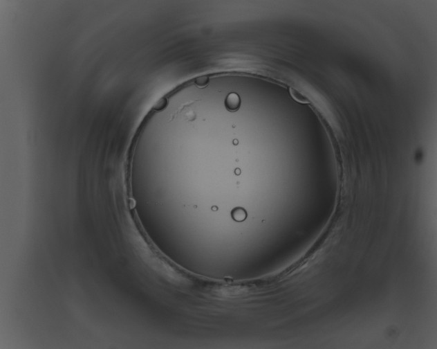 X0000093521291200710191324